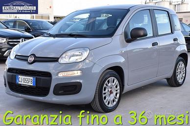 FIAT Panda 1.0 FireFly 70cv S&S Hybrid
