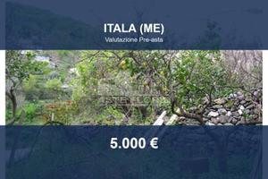 Immobile in asta di 6395 m² a Itala