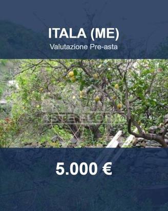 Immobile in asta di 6395 m² a Itala