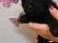 Immagine 5