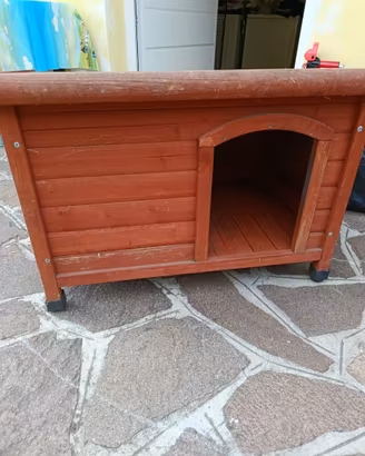 CUCCIA USATA BUONO STATO