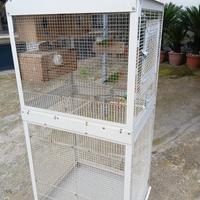 Voliera e inseparabili