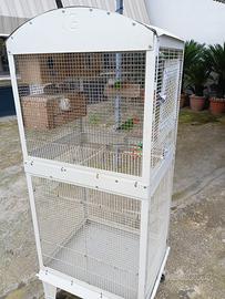 Voliera e inseparabili