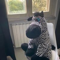 Grande peluche zebra