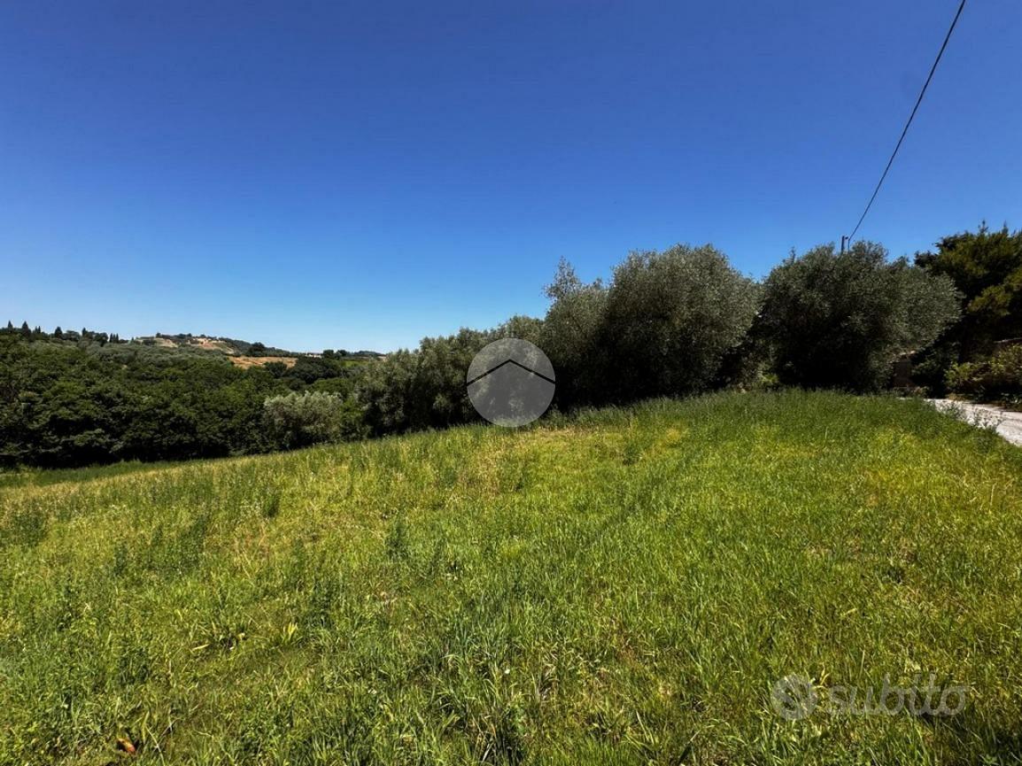 TER. AGRICOLO A MONTEBUONO - Altro