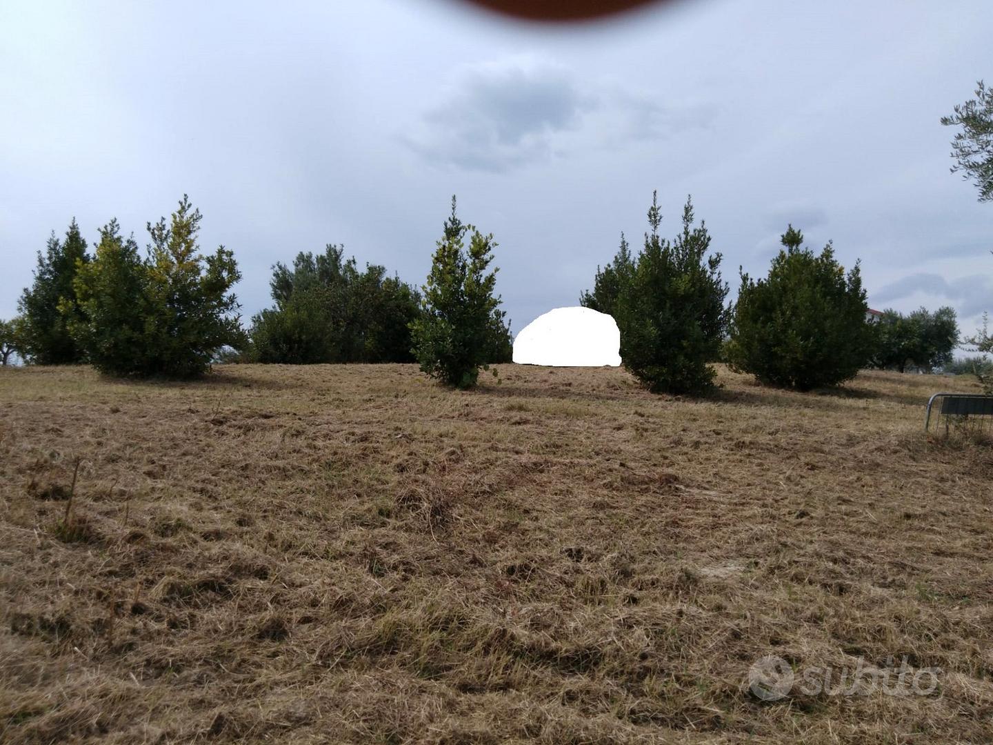 Rif. 223b terreno a moscufo - Vista 5