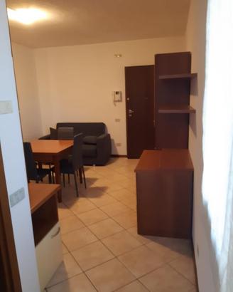 Bilocale Via Libertà Cerea Centro