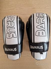 Guantoni Barrus Point Fighting