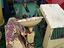 Immagine 5
