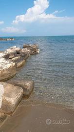 8/15agosto sul mare