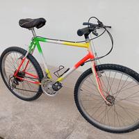 Mountain bike anni 80/90