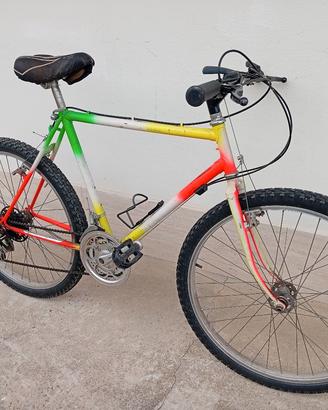 Mountain bike anni 80/90