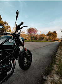 Benelli Leoncino 500