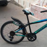 bicicletta 20