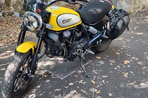 ducati scarmbler icon 800