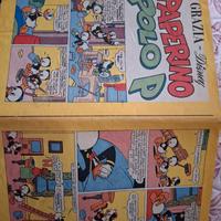 grazia disney paperino polo P