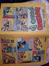 grazia disney paperino polo P