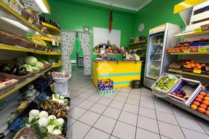 ATTIVITÀ A PONTECURONE