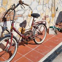 bicicletta graziella 