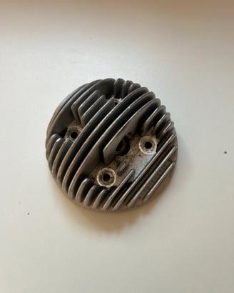 Testa quattrini d60