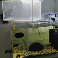 Nursery per avanotti