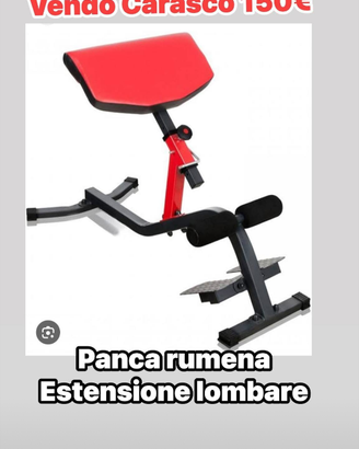 Panca rumena