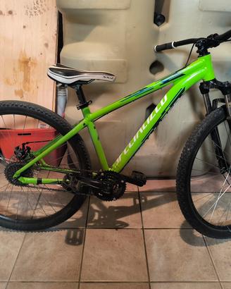biciclette