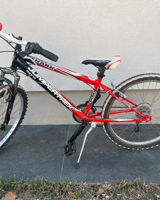 Bicicletta bambino