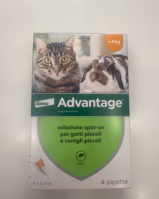 Advantage gatto