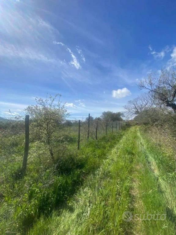 Casa – Manciano, Grosseto - Vista 4