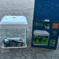 Acquario billy