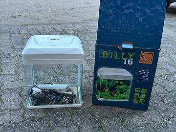 Acquario billy
