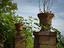 Immagine 29