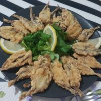 Lavapiatti aiuto cuoco