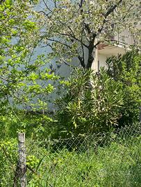 Villetta immersa nel verde