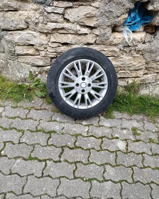 gomme e cerchi fiat punto