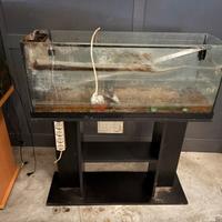 Acquario