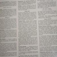 enciclopedia rizzoli larousse illustrata