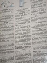 enciclopedia rizzoli larousse illustrata