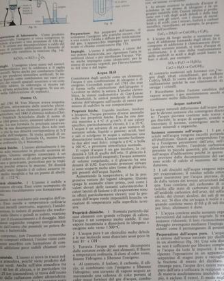 enciclopedia rizzoli larousse illustrata
