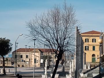 VISTA MARE palazzo storico