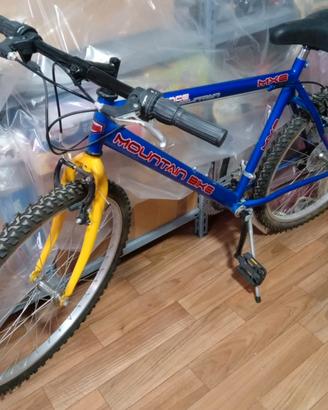 Mountain Bike Uomo
