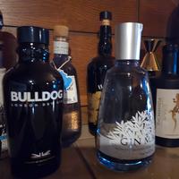 Bottiglie di gin vuote