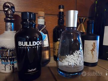 Bottiglie di gin vuote