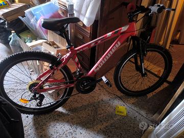 bici per ragazzo 