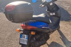 Suzuki hokuto 110