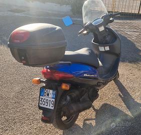 Suzuki hokuto 110