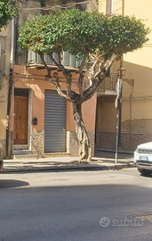 Locale uso commerciale