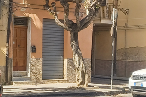 Locale uso commerciale