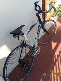 bici olmo superleggera 